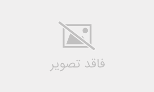 مهمترین-خواص-چوب-دکوراسیون