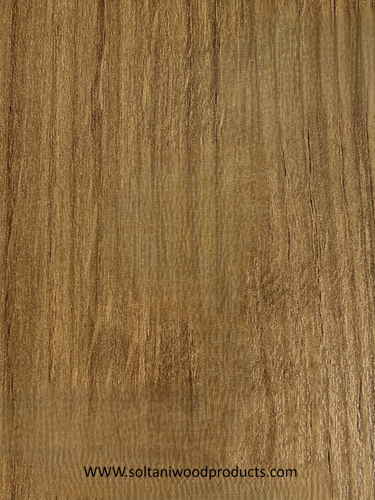 MDF تیسان کد T179کاتانیا طرح چوب ت ( 28 )